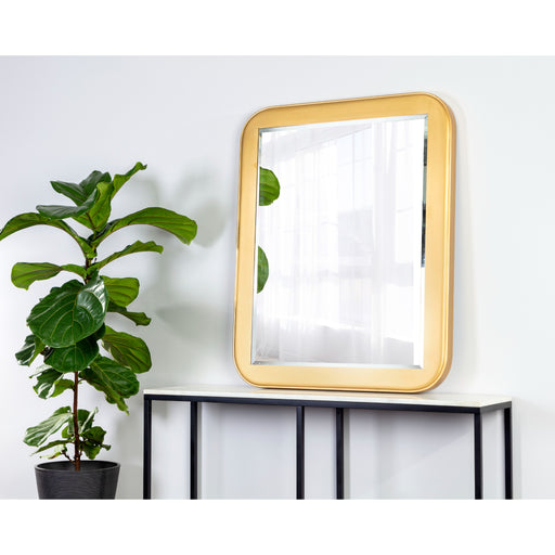 Sunpan Modern Topanga Wood Rectangle Wall Mirror