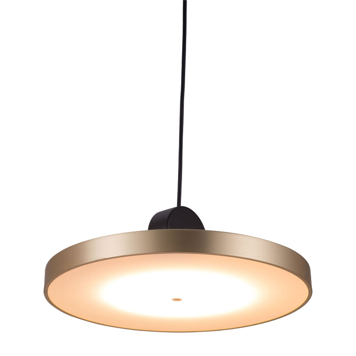 Zuo Mozu Gold & Black Electroplated Steel Modern Ceiling Lamp