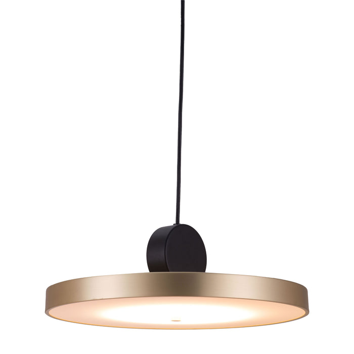 Zuo Mozu Gold & Black Electroplated Steel Modern Ceiling Lamp