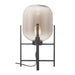 Zuo Wonderwall Modern Design with Tinted Glass Black Table Lamp