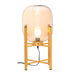 Zuo Wonderwall Modern Design with Tinted Glass Gold Table Lamp