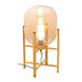 Zuo Wonderwall Modern Design with Tinted Glass Gold Table Lamp