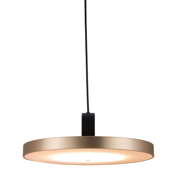 Zuo Mozu Gold & Black Electroplated Steel Modern Ceiling Lamp