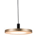 Zuo Mozu Gold & Black Electroplated Steel Modern Ceiling Lamp