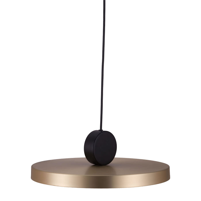 Zuo Mozu Gold & Black Electroplated Steel Modern Ceiling Lamp