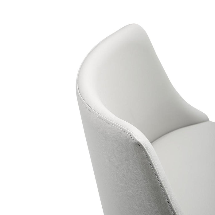 Whiteline Modern Carter Grey Adjustable Barstool/Counter Stool
