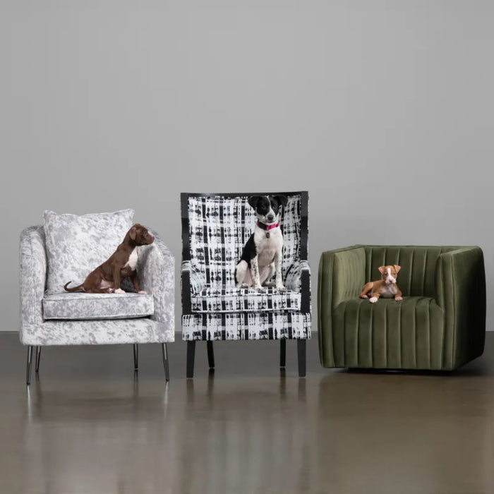 Kimble Modern Fabric Accent Armchair Crestview Collection