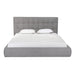 Whiteline Modern Dexter Grey Tufted Fabric Queen Size Bed 