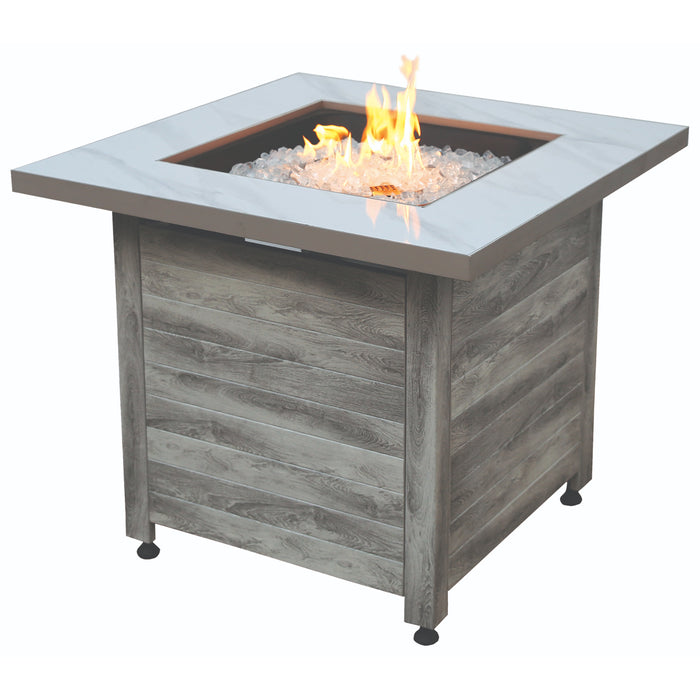 Endless Summer Chesapeake Stainless Steel Gas Fire Pit Table Mr. Bar-B-Q