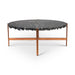 Urbia Jenna Coffee Table Natural Black Petrified Wood, Stainless Steel Base