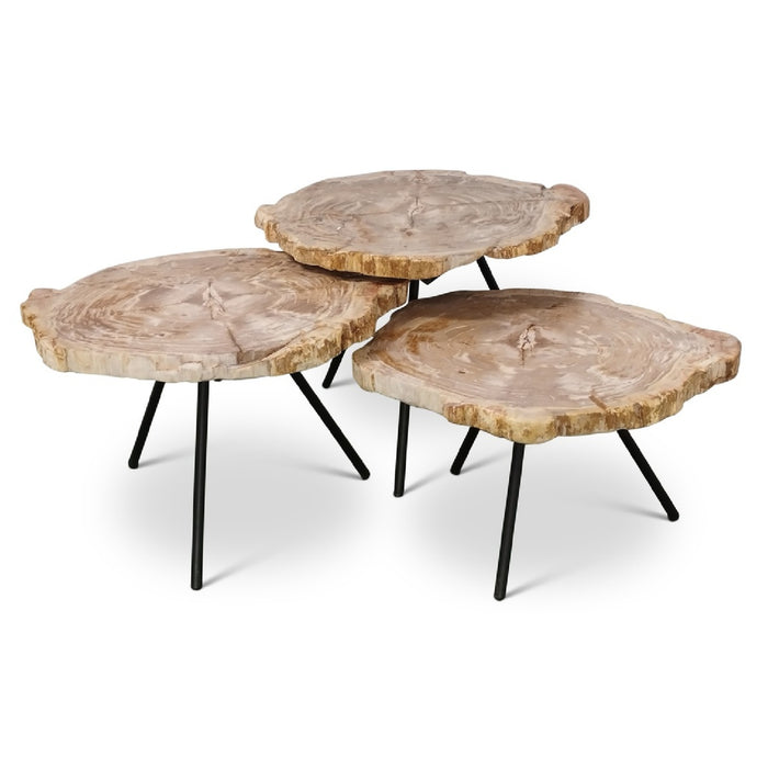 Urbia Relique Solid Wood Jeno Nesting Coffee Table (Set of 3)