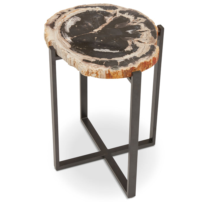 Urbia Relique Petrified Wood Milo End Table Steel Base