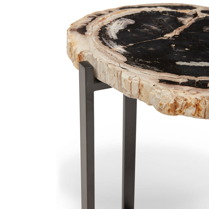 Urbia Relique Petrified Wood Milo End Table Steel Base