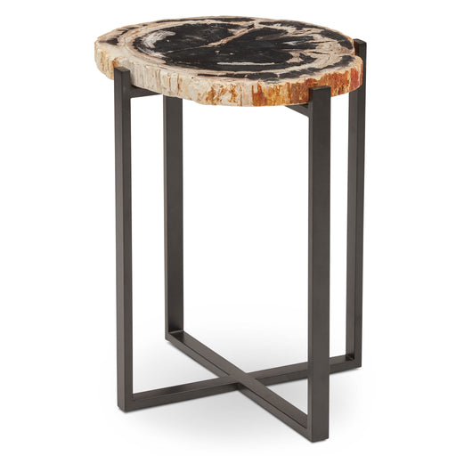 Urbia Relique Petrified Wood Milo End Table Steel Base