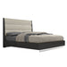 Whiteline Modern Pino Dark Grey Queen Size Bed 